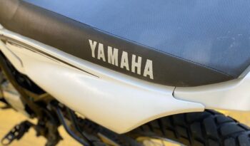 Yamaha XTZ250 2018 lleno