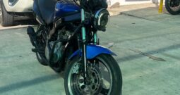 WhatsApp Image 2025-01-23 at 5.16.50 PM (1)