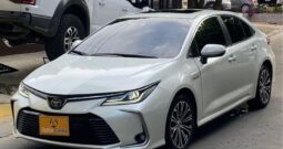 WhatsApp Image 2025-08-15 at 11.02.26 AM